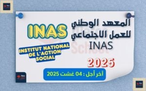 Read more about the article المعهد الوطني للعمل الاجتماعي INAS 2025